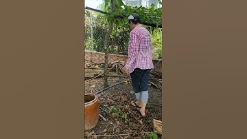 Câu Rắn Mối | Út Ruộng Vlog