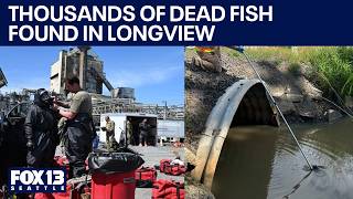 Longview, WA implosion update: All victims identified, 2,000 dead fish collected
