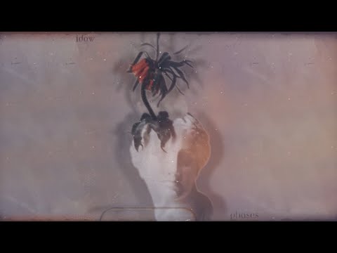 Related Embedded Video Item Thumbnail