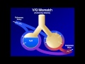 Hypoxia and Hypoxemia: Mechanisms and Etiologies (ABG Interpretation - Lesson 18)