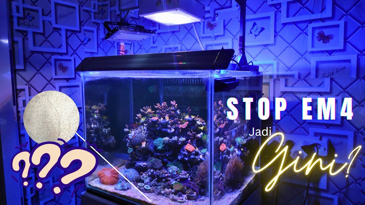 JANGAN PAKAI EM4 (NANO REEF TANK UPDATE)❗