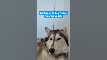 Building an AI Dog Trainer #dogtraining #dog #startup #buildinpublic