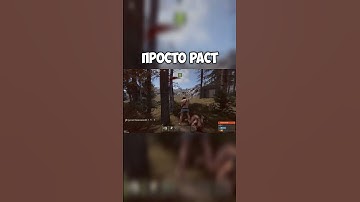Нео в #rust #rustрейд #rustgameplay #игры #растмирейд #rustgame