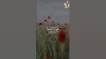 📖سورة مريم 🎙️شريف مصطفى