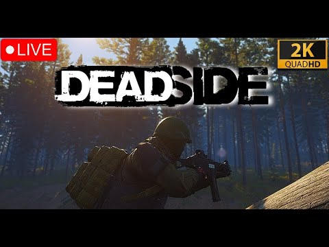 DeadSide Хардкорный выживач - ApollоGamer 2К СТРИМ / Live Stream 3060 Ti