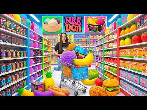 I found the BIGGEST SQUISHY STORE in the USA and spent $1,000!