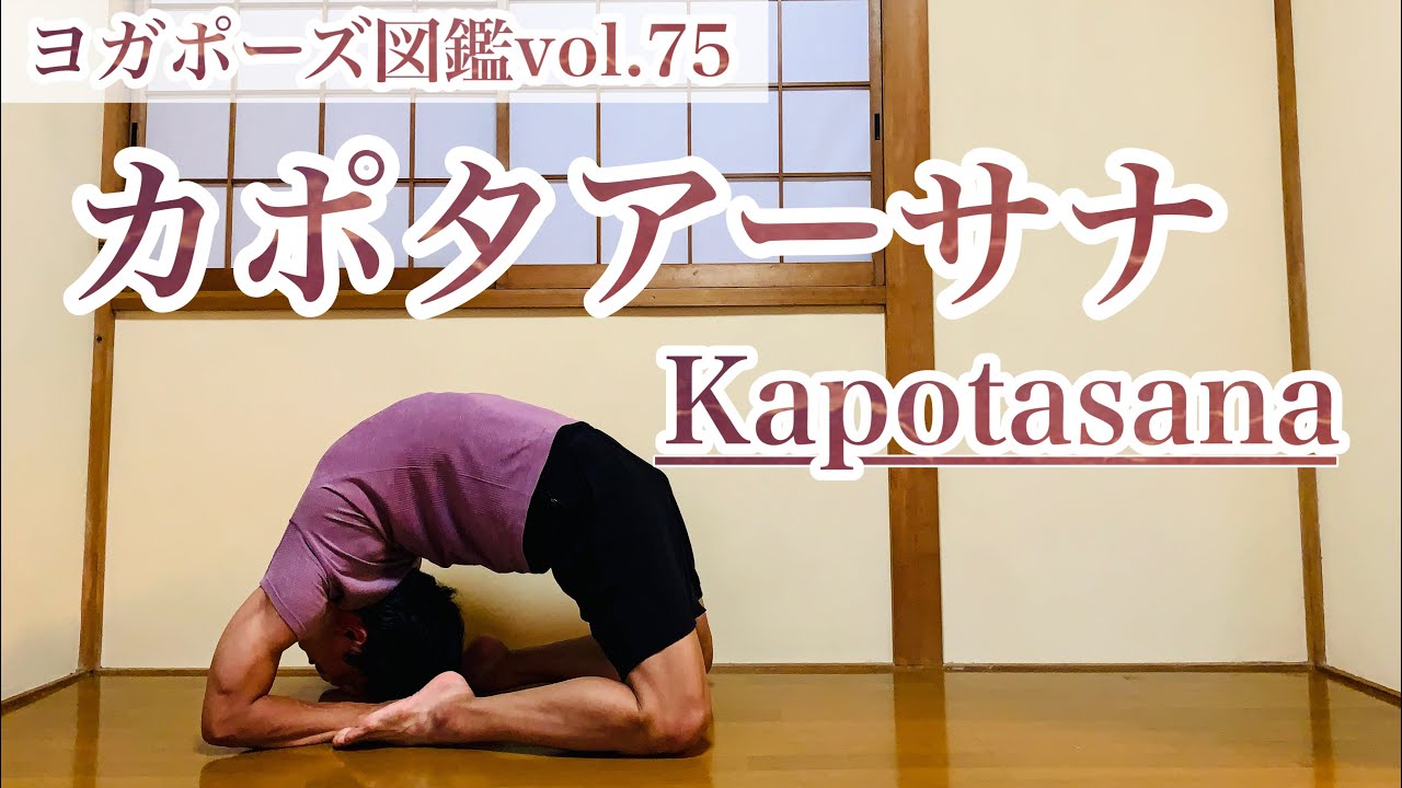 【後屈の王様】難しい?!カポタアーサナまでの道のりを解説！ ヨガポーズ図鑑vol.75