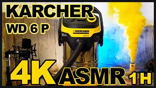  Asmr Fumigene 1H Aspirateur - Karcher Wd 6 P Premium