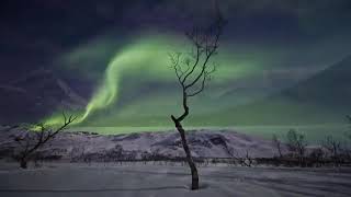 Polar Lights (Aurora Borealis). screenshot 5