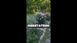 (Mobile) Meditation🧠 \/ V2C