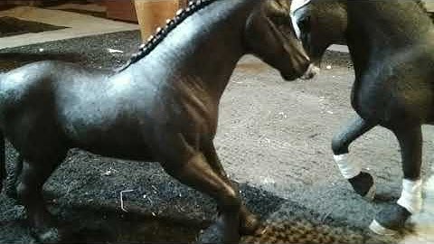 Schleich Horse music video love me like you do (this is not my song please do not copyright me)