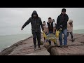 Saving “Cold Stunned” Turtles in Texas | NBCLX