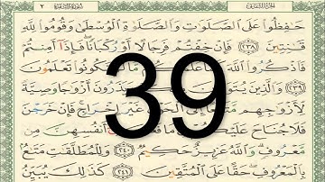 القرآن الكريم - أيمن سويد الصفحة 39