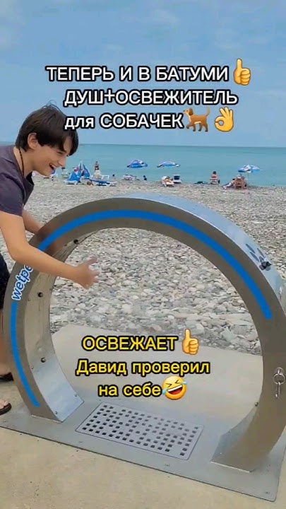 Вай, мама! Что это?😉В БАТУМИ появился ДУШ+ОСВЕЖИТЕЛЬ для СОБАК🐕 ️👍# ...