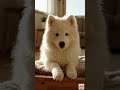 動物たちの爆笑あくび集 😴😂 7