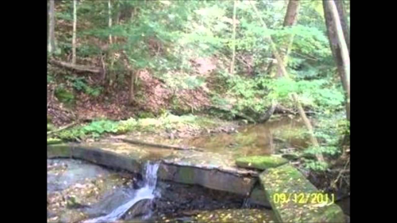 Steuben CounTY NY State Hunting Lease on 37 Acres YouTube