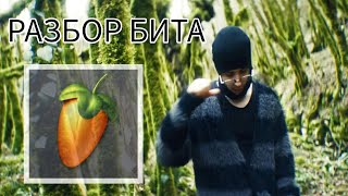 🥕РАЗБОР БИТА 