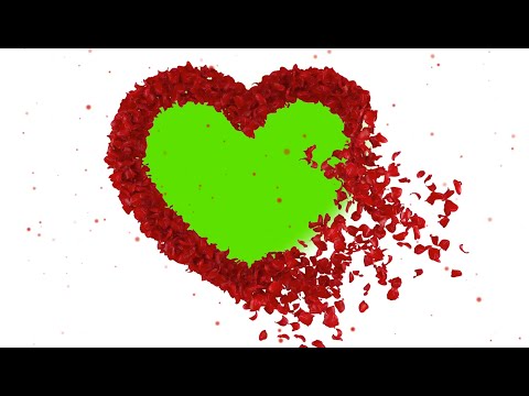 Slides Wedding green screen, template love chroma key casamento, valentines, petals heart