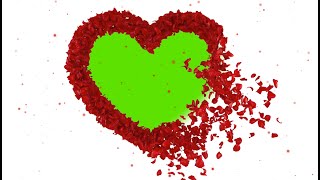 Slides Wedding green screen, template love chroma key casamento, valentines, petals heart