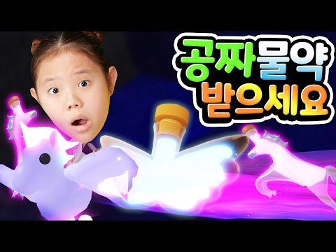 어떻게 배달되는지 확인하시고 여러분도 준비하세요 flying pet <strong>potion</strong> event[아려랑]