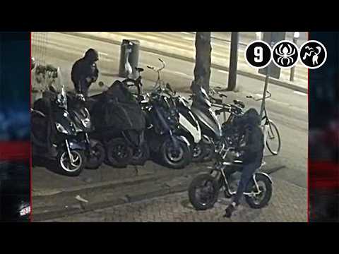 Bloemenstal verwoest door brandstichting | Amsterdam
