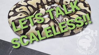Lets talk Scaleless ball pythons!!