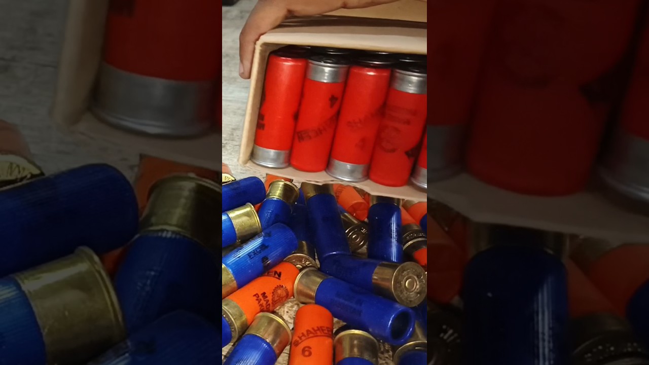 12 bore/ gauge cartridges review of different shot size.