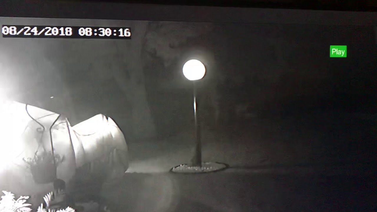 Tarable neighbors joynt the pizza Milan Illinois YouTube