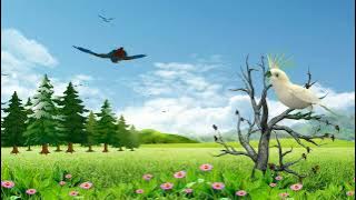 Background Video Animasi Kartun Bergerak Pemandangan Burung Terbang