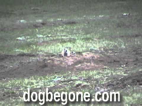 je t'aime brigitte desoler!!!!