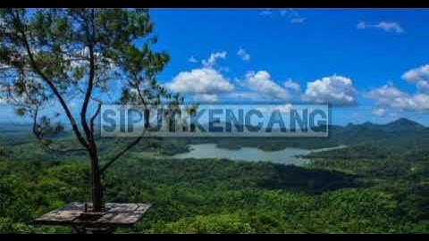 burungpun ingat pulang - trio ambisi (lirik)