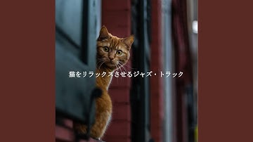 Pulsating Music for A Calm Hound