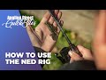 How To Use The Ned Rig - Predator Fishing Quickbite