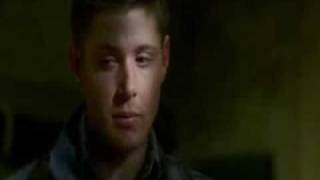 Jensen Ackles und Hayden Panettiere Twillight (Der Duft von Bella/Hayden)