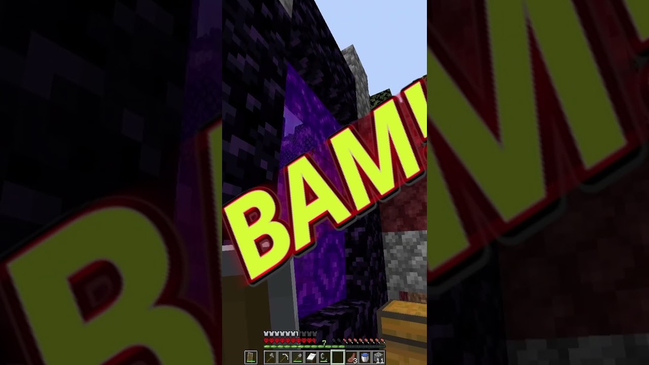 MINECRAFT HARDCORE