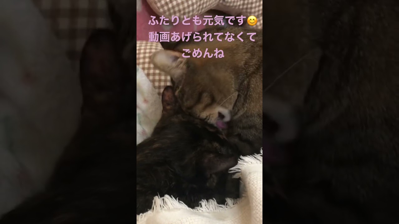 これならできた！