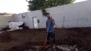 Solucan maması hazır yanmış hazır lanışı