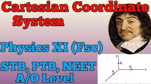 What Is the Cartesian Coordinate System? | Physics for Beginners