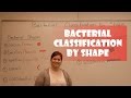 Asexual Reproduction in Bacterial-2.mp4