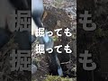 【ちいログ】ログハウスに門柱を立てる #ログハウス #diy #short