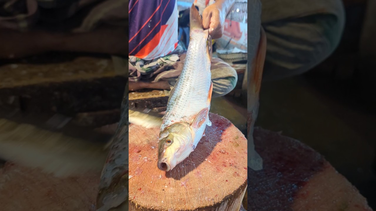 Amazing Big Mrigal Fish Cutting Skills Live In BD Fish