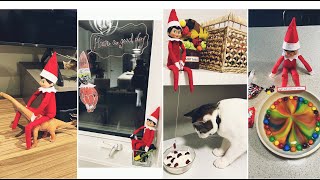 Elf on the Shelf Ideas (上) | 圣诞节传统节目｜家有小朋友??的一定要试试