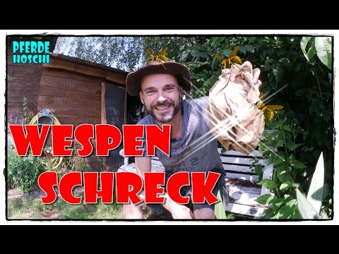 Video: Wespen Verjagen