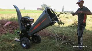 BIOTRITURATORE WORTEX CHIPPER D420 L