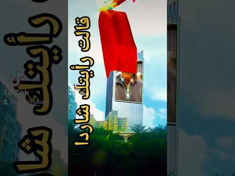 حمزه السهماني قالت رأيتك شاردا فأجبت عفوا ماسمعت وبدا علي تلعثمي قالت رويدك قد فهمت