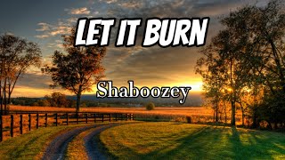 Shaboozey - Let It Burn (Lyrics)