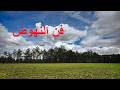 لا تقع الا و رأسك ينظر الى السماء