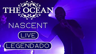 The Ocean - Devonian: Nascent ( Lyrics / Legendado PT BR 4K )