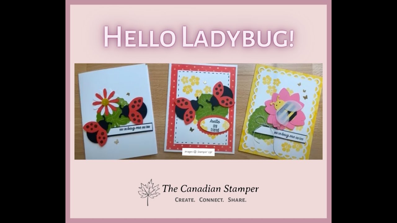 Hello Ladybug projects - 3 stepped up styles