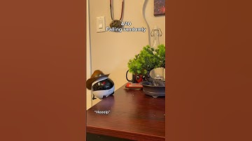 This little robot is so goofy 😭💕 #robot #couple #longdistance